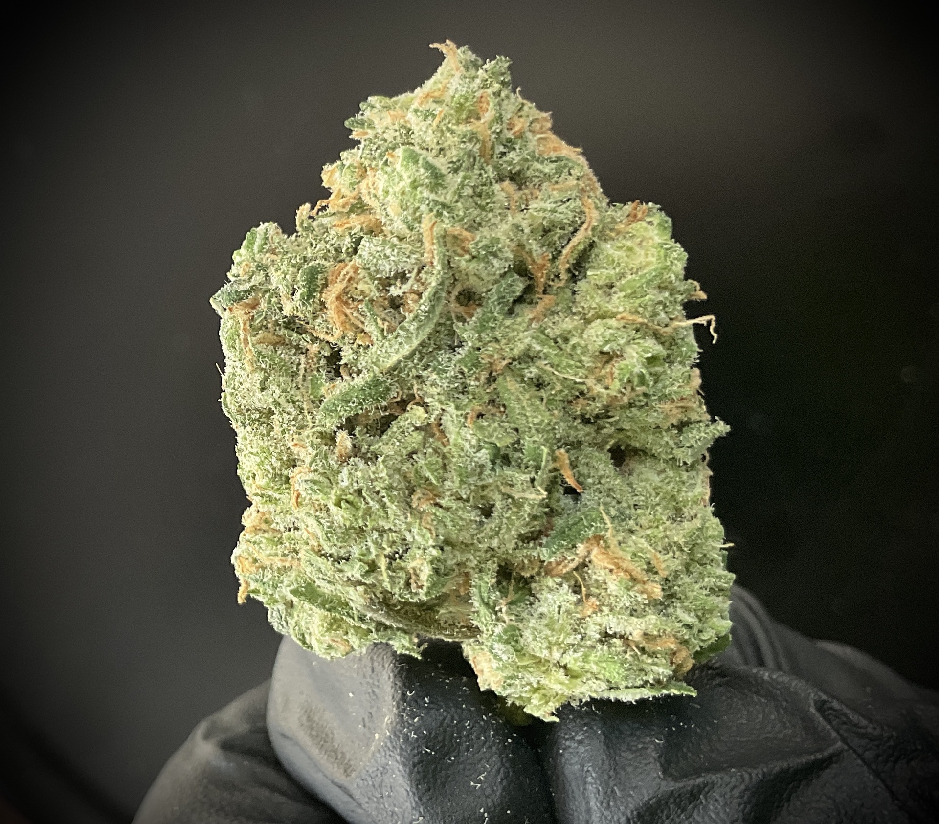Blue Dream THCA / Gram